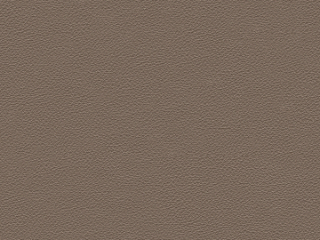 fine grain leather texture (ID:ffajg18312)