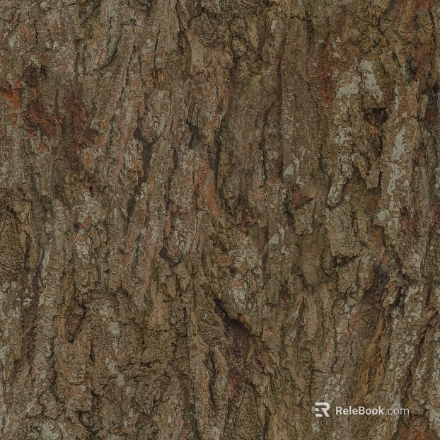 bark texture