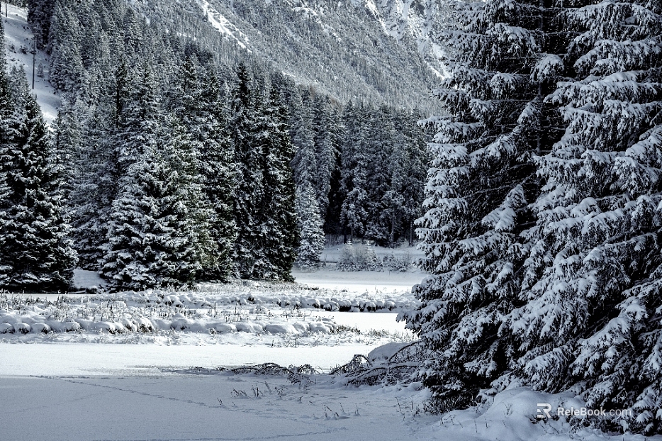 Snow texture