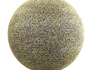 Dough carpet PBR 3d model