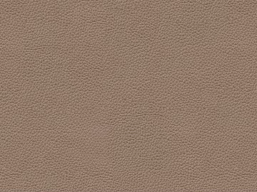 Coarse-grain leather texture (ID:ffach842438)