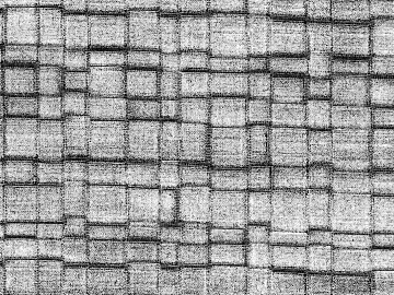 Plaid 3d model