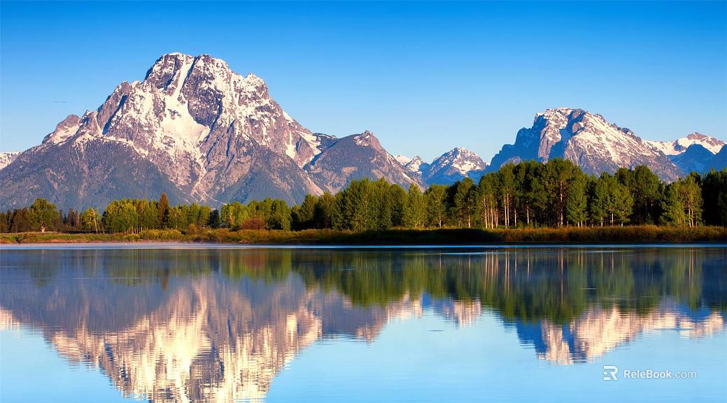 Wild Scenery texture