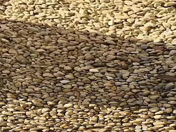 Pebbles texture (ID:ffabg86759)