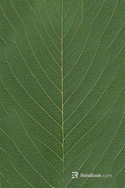 leaves texture