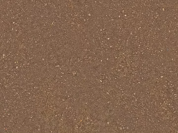 Mud ground 3d model