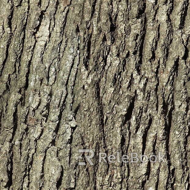 A close-up of weathered, rough tree bark with moss and lichen growth, showcasing nature's intricate texture and resilience.