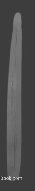White Wood Black and White Bump Map texture