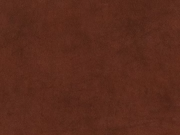 fine grain leather texture (ID:ffagg16999)