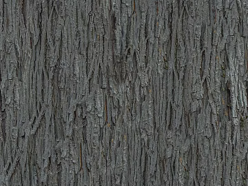 bark texture (ID:ffaeg58776)