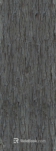 bark texture