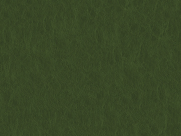 Coarse-grain leather texture (ID:ffadf4266)