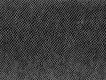 Black and White Bump texture (ID:ffacg26157)