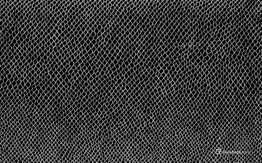 Black and White Bump texture