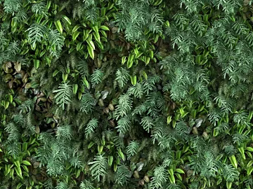 Plant wall texture (ID:ffacg00019)