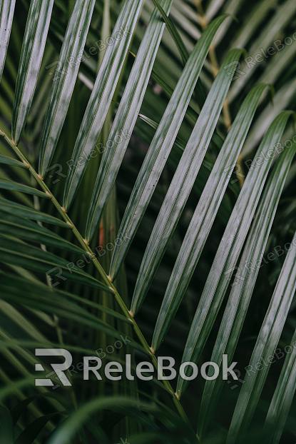 A dense cluster of lush, green leaves with vibrant hues, forming a textured, almost abstract pattern against the light.