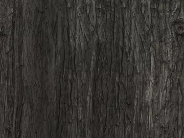 bark texture (ID:ffajg05180)