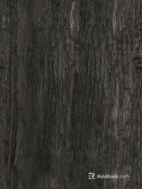 bark texture