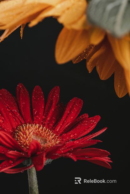 Flowers texture