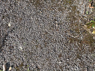 Gravel texture (ID:ffabg75282)