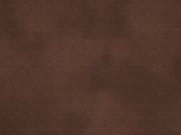 fine grain leather texture (ID:ffach444666)
