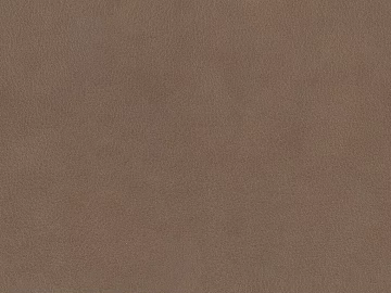 Coarse-grain leather texture (ID:ffach718706)