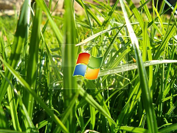 Screen material texture (ID:ffagg59131)