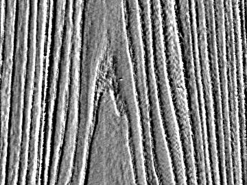 Black and White Bump texture (ID:ffacg78311)