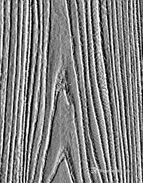Black and White Bump texture