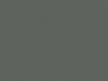 Modern Italian Minimalist Iron Grey Texture Emulsion Paint texture (ID:ffaeh373884)