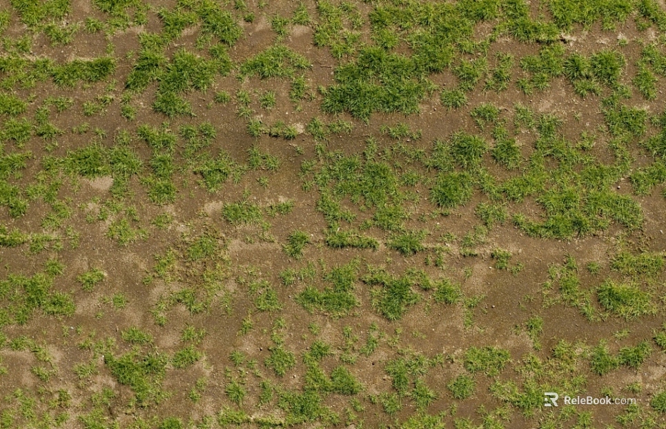 Grassland texture