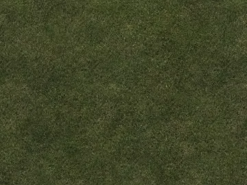 Turf texture (ID:ffagg51088)
