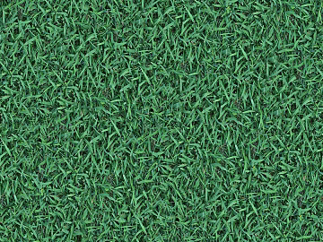Garden Courtyard Landscape Green Lawn Grass Ground texture (ID:ffach534856)