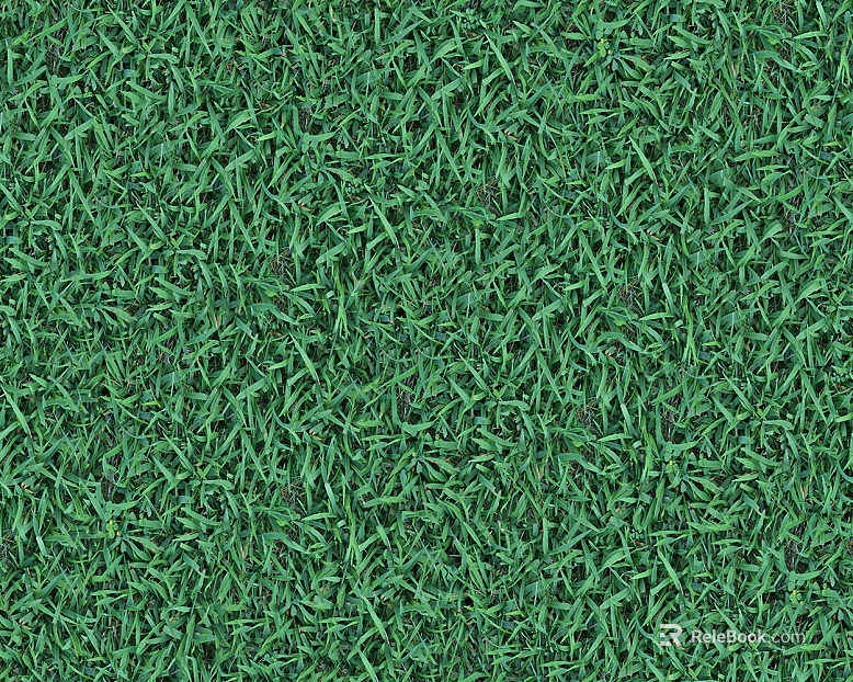 Garden Courtyard Landscape Green Lawn Grass Ground texture