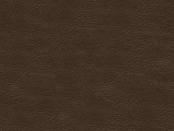 Coarse-grain leather texture (ID:ffabg05620)