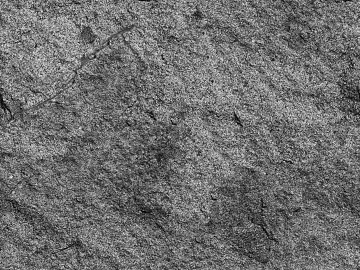 Rock 3d model