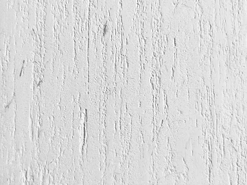 diatom mud texture (ID:ffhie427)