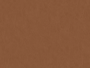 Coarse-grain leather texture (ID:ffabg04605)