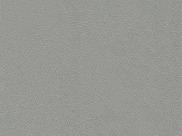 Coarse-grain leather texture (ID:ffaef8931)