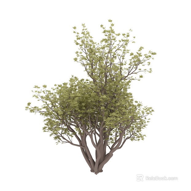 Plant painting texture