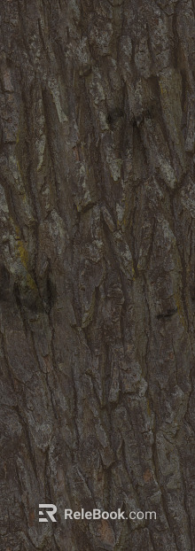 bark texture