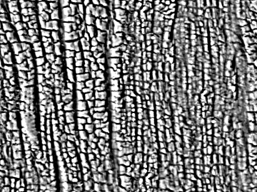 Black and White Bump texture (ID:ffaag39746)