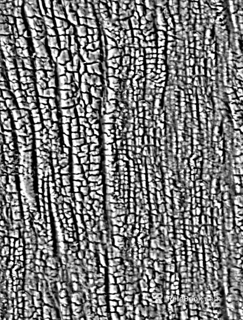 Black and White Bump texture