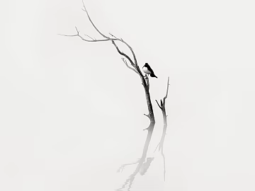 decorative painting texture (ID:ffagg39685)