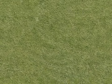 Turf texture (ID:ffacg52050)