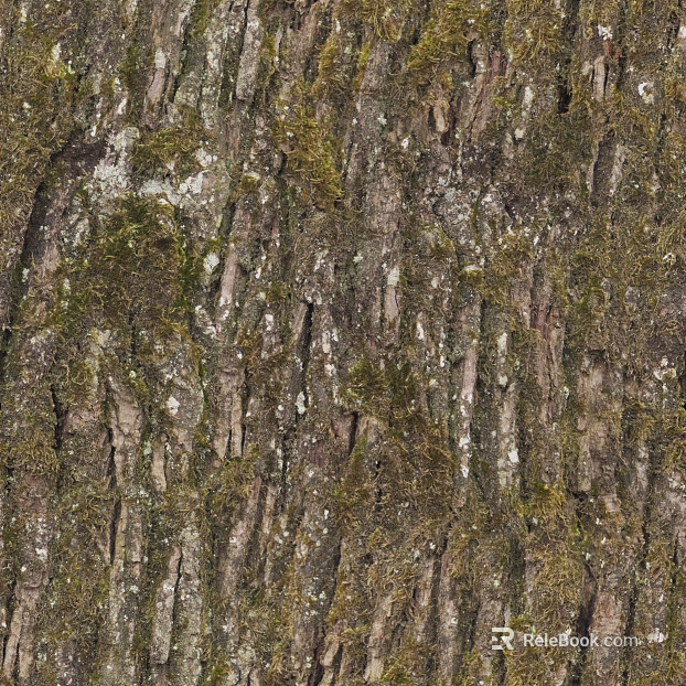 bark texture