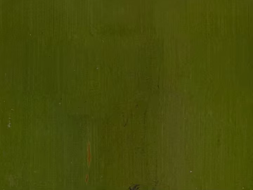Bamboo 3d model