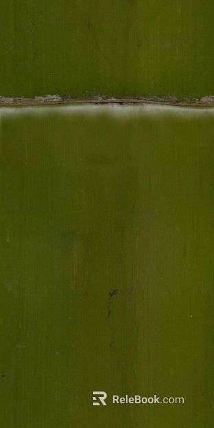 Bamboo texture