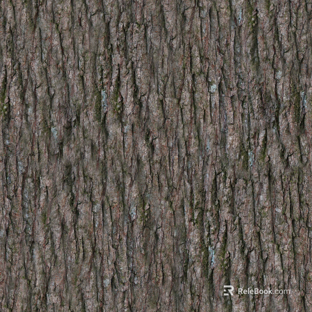 bark texture