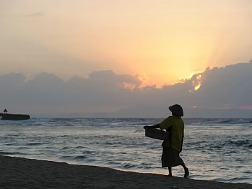 Wild Scenery texture (ID:ffacg81437)